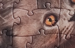 Dino puzzle 3x55 velký dílek uprostřed motivu